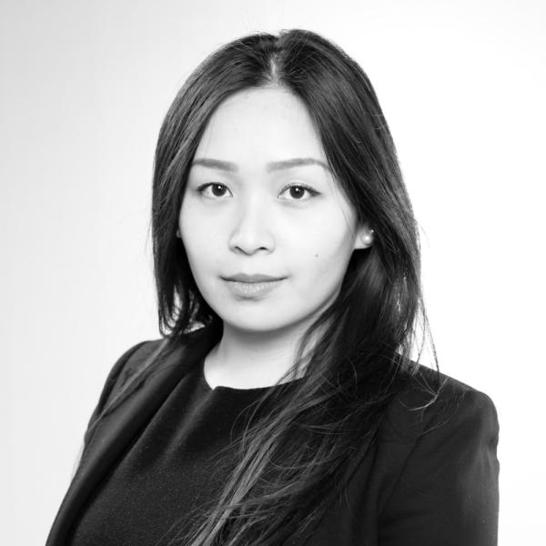 Ngoc Lan Anh Nguyen