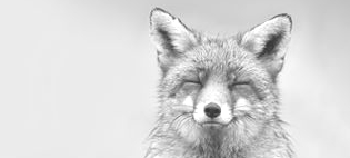 Anwaltskanzlei v3.4 Hans-Wolfram Lehnert